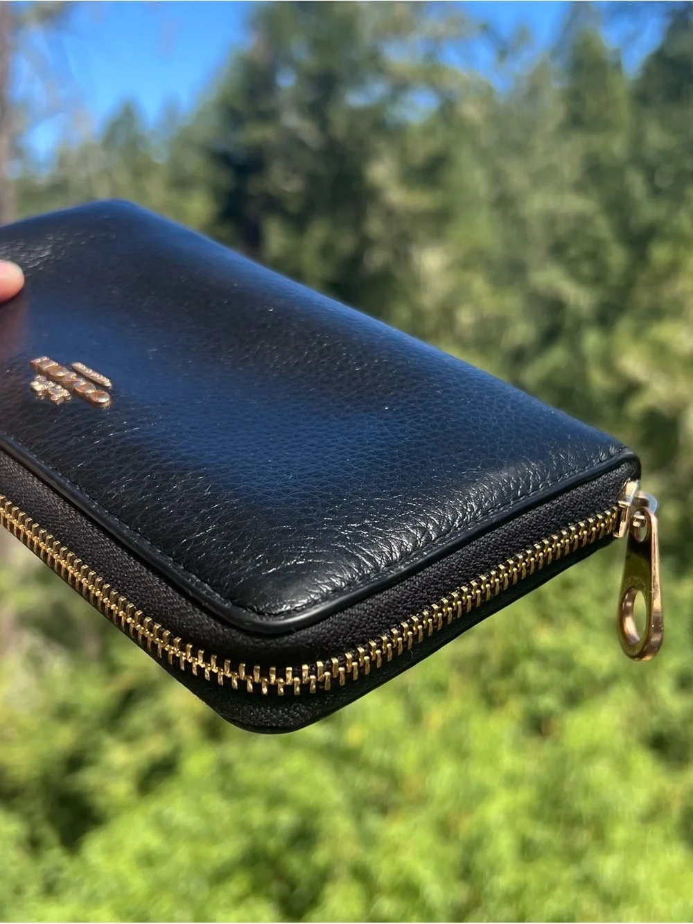Coach accordion zip